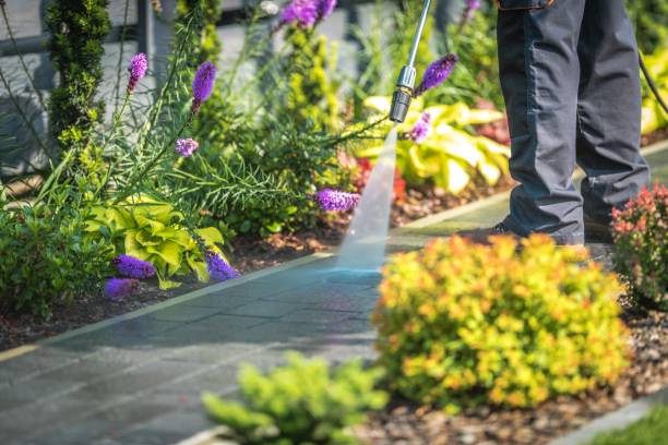 Best Winterizing Services  in Oakland, SC