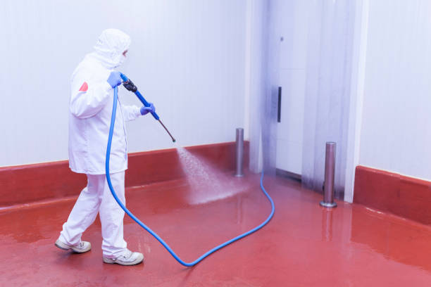  Oakland, SC Pressure Washing Pros